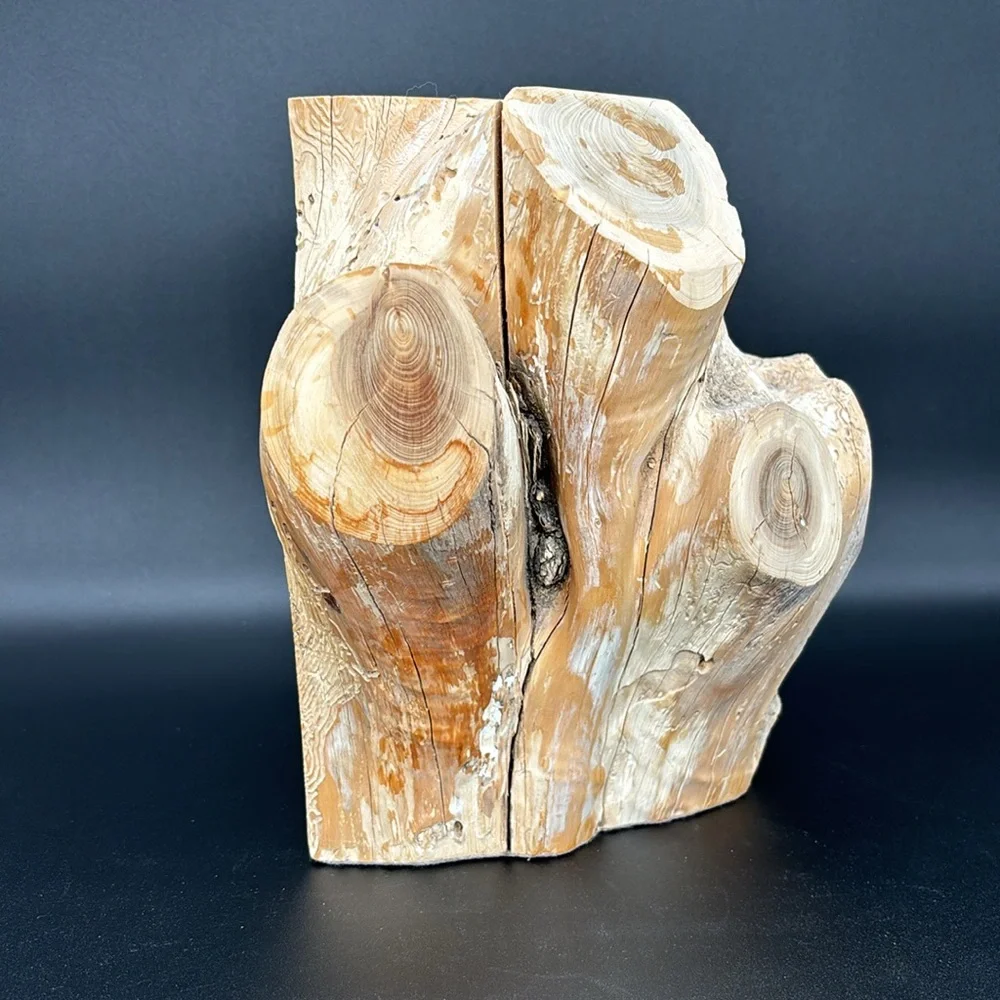 Montana Post Holes Jewelry Box
